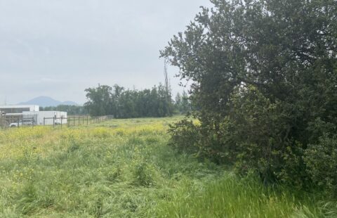 Terreno en Talagante 5000m²