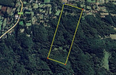 Campo 25 Ha Villarrica