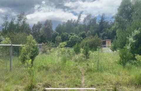 Terreno en Pucon 18000m²